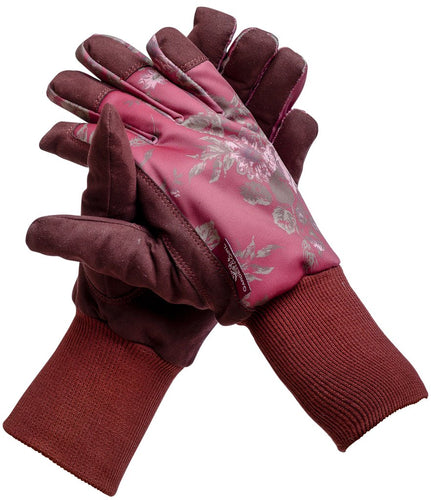 Gloves – Northernonline